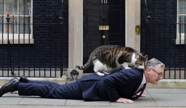 UK Chief Mouser Larry the Cat dragging Prime Minister Keir Starmer out of 10 Downing Street.