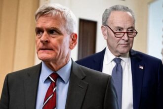 Congress members Chuck Schumer and Bill Cassidy on Big Pharma stocks.