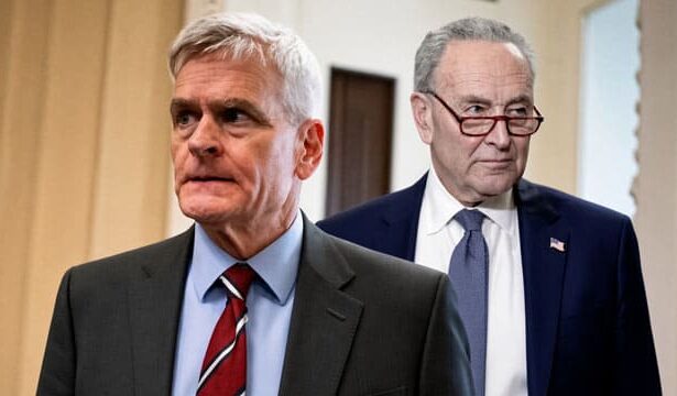 Congress members Chuck Schumer and Bill Cassidy on Big Pharma stocks.