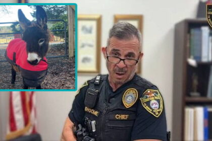 Cedartown police chief with an inset of HeeHaw the donkey shot by police.