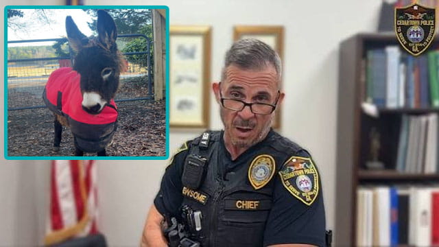 Cedartown police chief with an inset of HeeHaw the donkey shot by police.