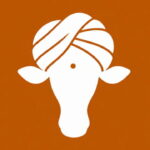 Texas Longhorns orange and white logo with the bull changed to a cow wearing a turban.