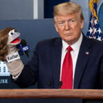 President Trump with a sock puppet on each hand inside White House.